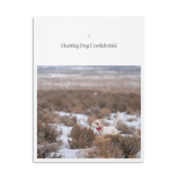 Cover of 2.1 Spring 2021 issue of Hunting Dog Confidential Magazine