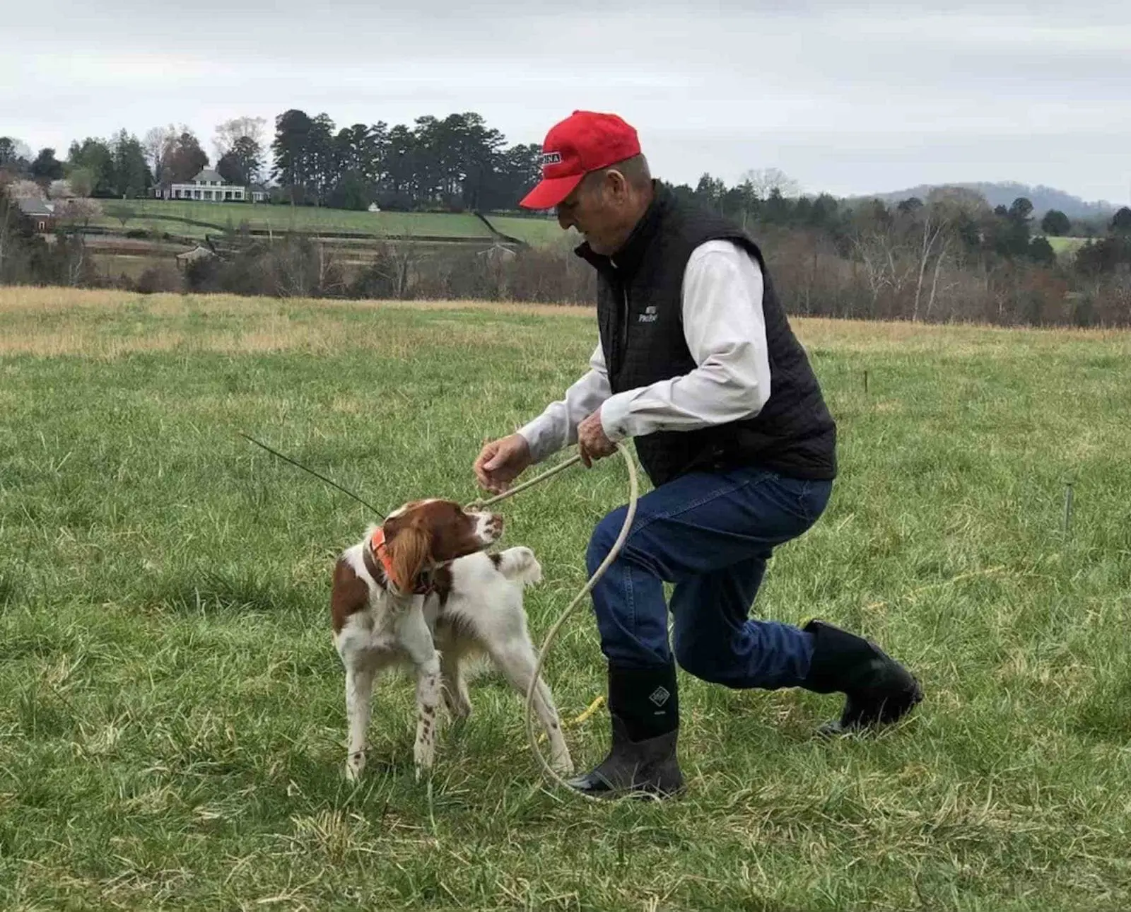 Rick Smith trains a Brittany to be steady