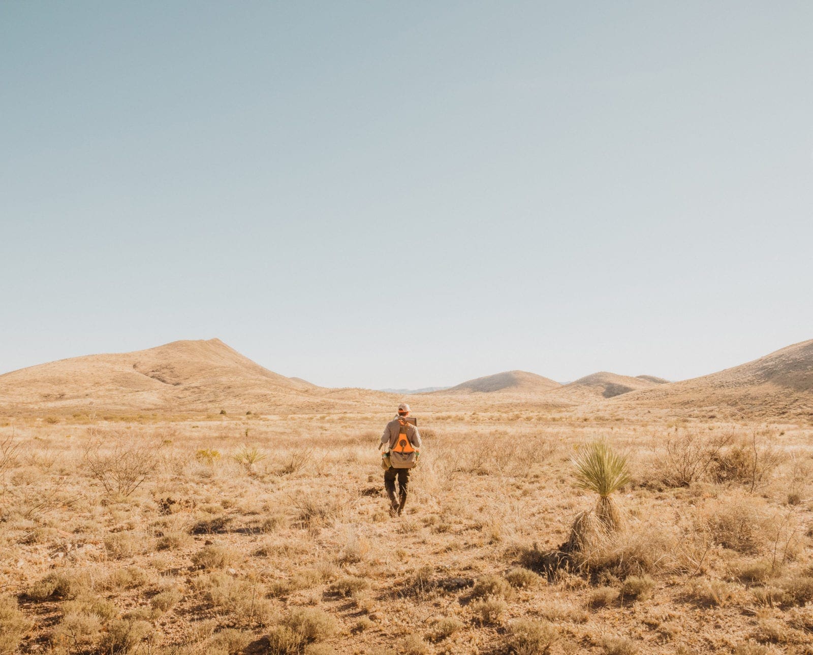 A hunter walks through the Arizonan landscape in search of birds.