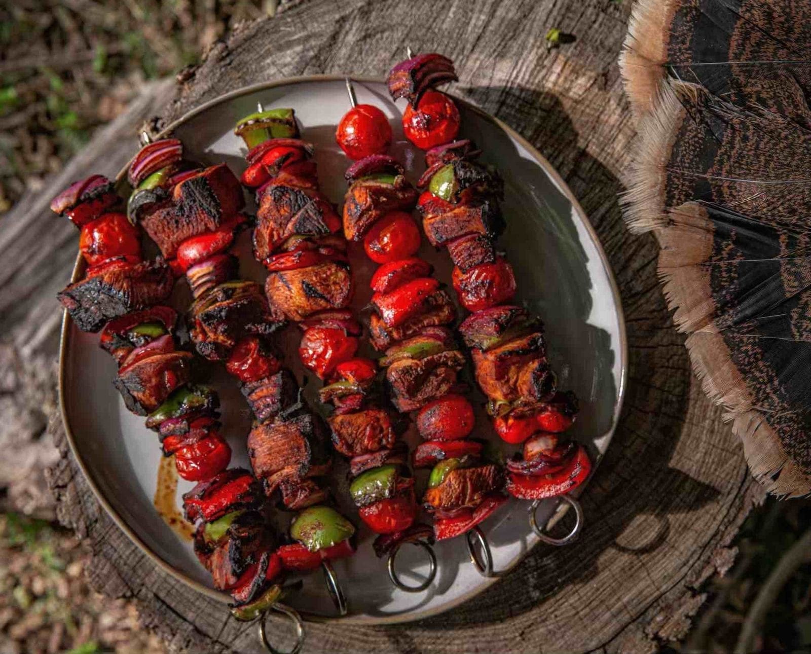 wild turkey kebabs on a plate with a turkey fan