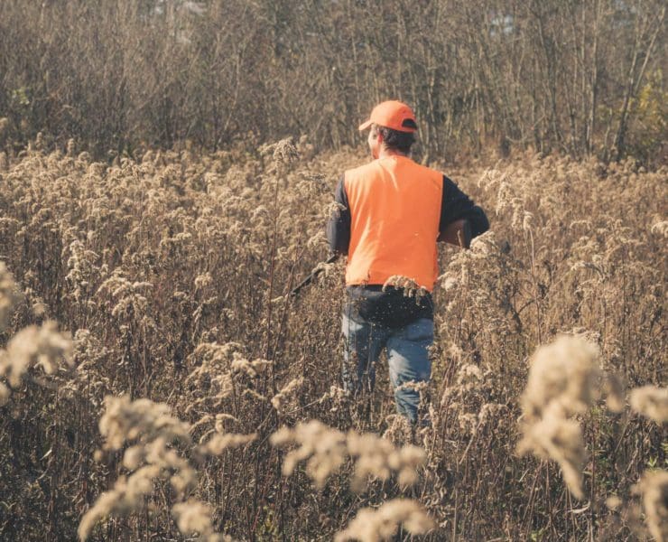 A upland hunter walks through a field weaing basic upland gear like blaze orange and jeans.