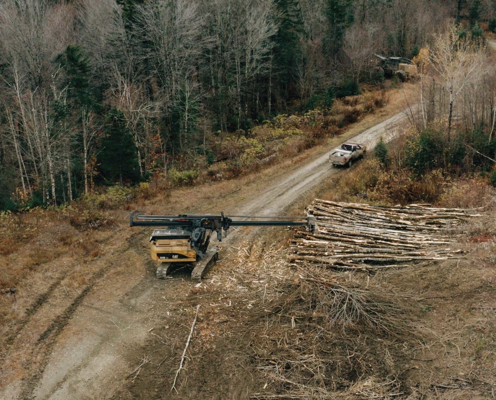 Logging machinery stacks cut timber in a private rural forest.