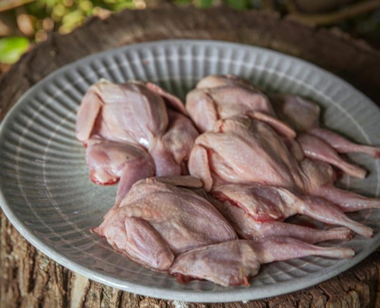Plucked quail rests on a plate, ready to be cooked.