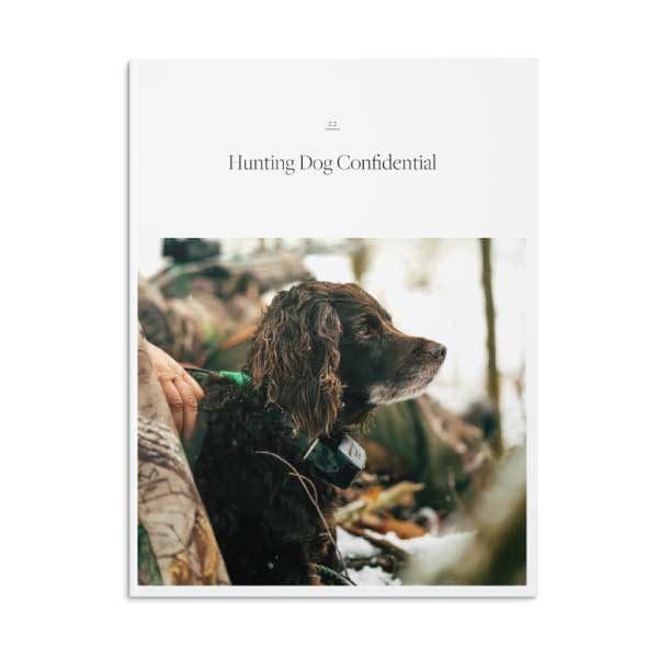 Hunting Dog Confidential Magazine with a Boykin Spaniel on the Cover