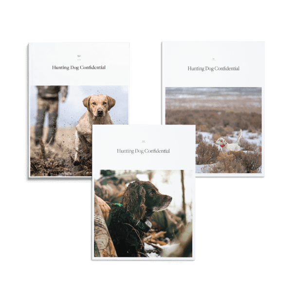 Hunting Dog Confidential Starter Pack Spring 2022