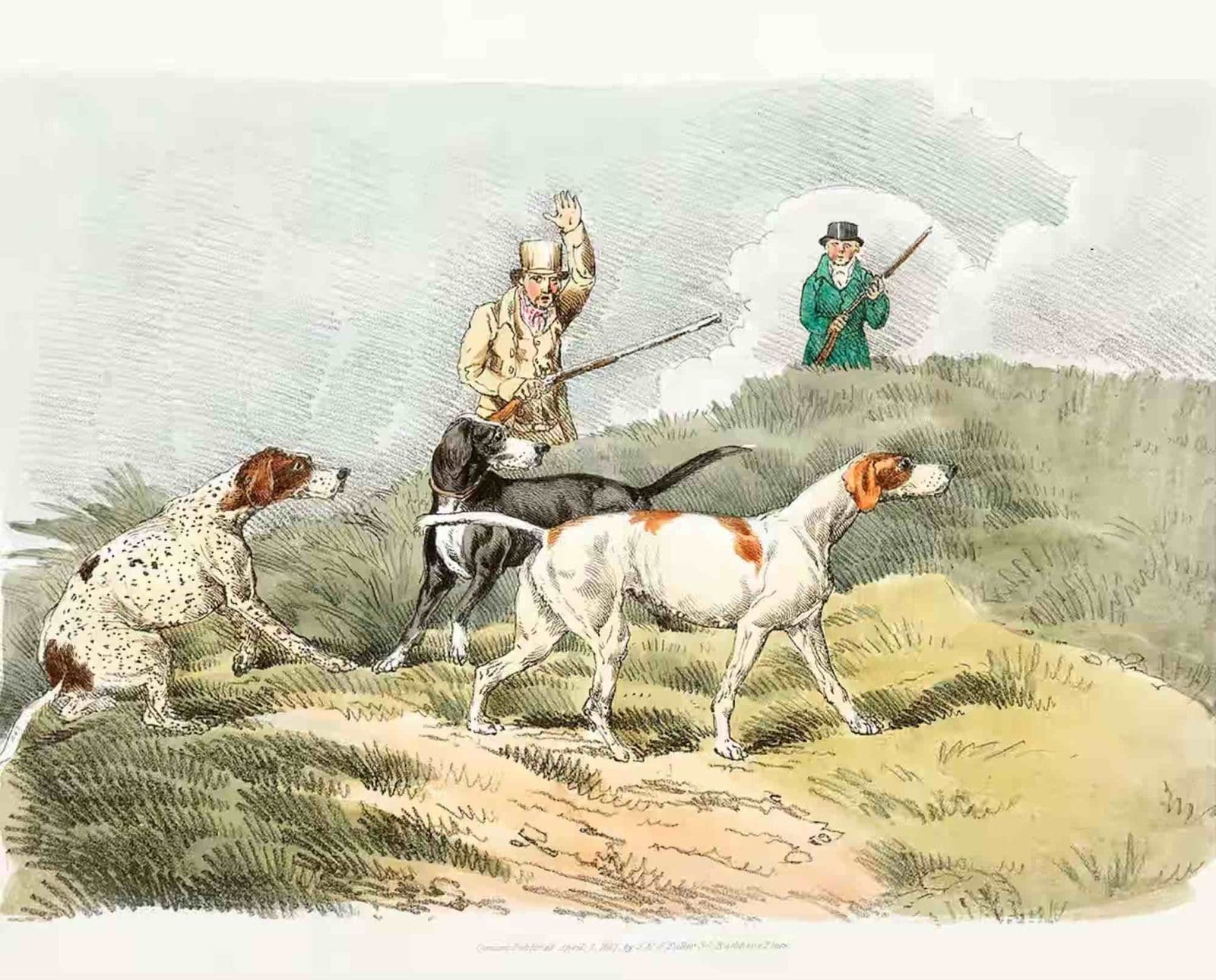 Early North American Hunting Dogs