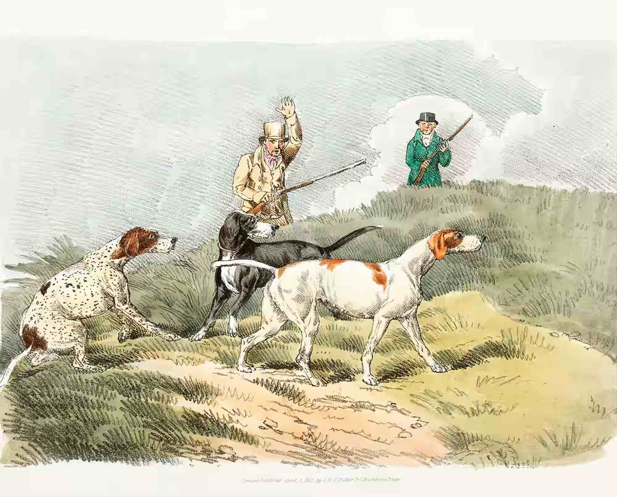 Exploring Early American Hunting Dogs - Part Two Podcast