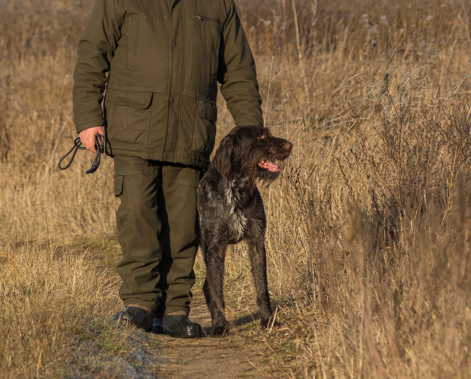 A hunter ready to take the VJP with his German hunting dog.