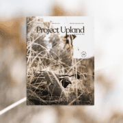 The cover of Volume 3, Issue 4 of Project Upland Magazine.