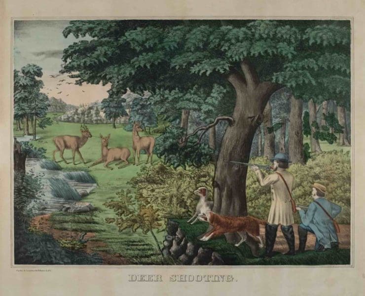 Deer Shooting historic hunting dog artwork