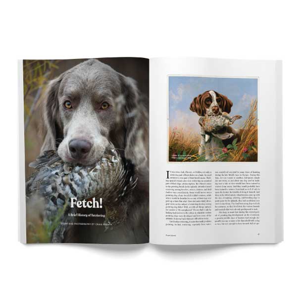 Fetch training history of dogs in a magazine article