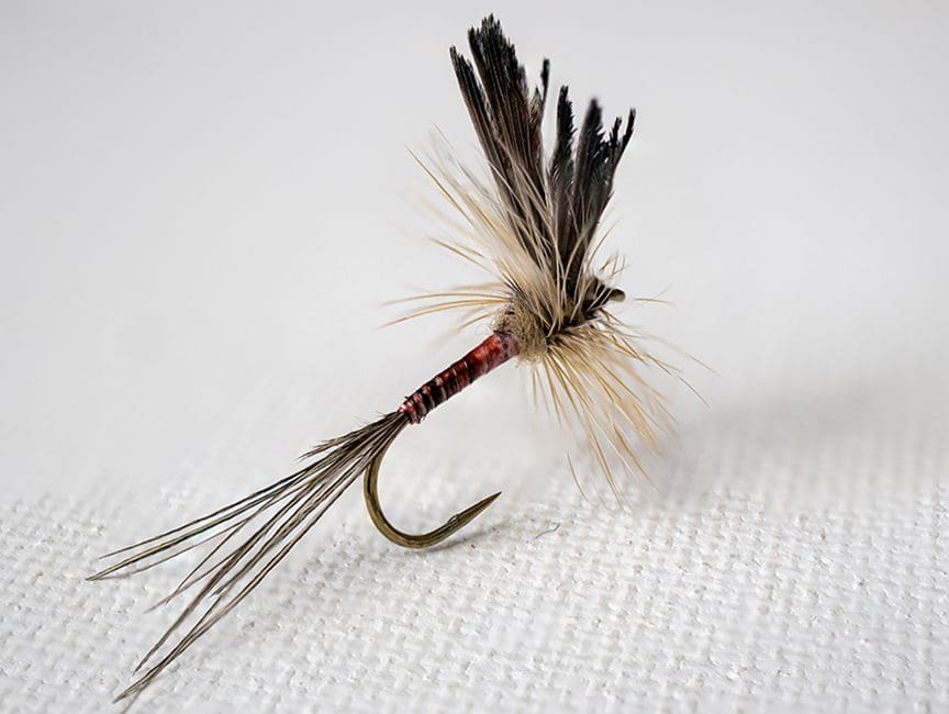 Using Upland Bird Feathers for Fly Tying Patterns - Project Upland