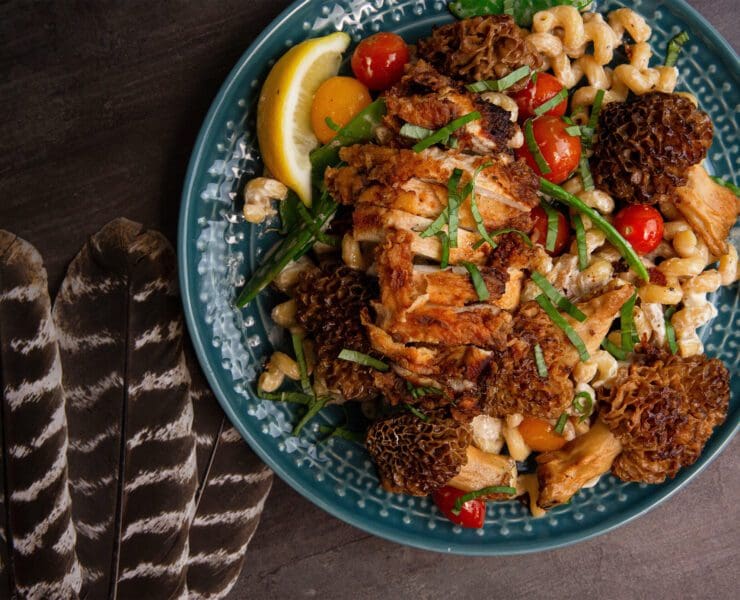Pasta with fried wild turkey and morels rests on a table.