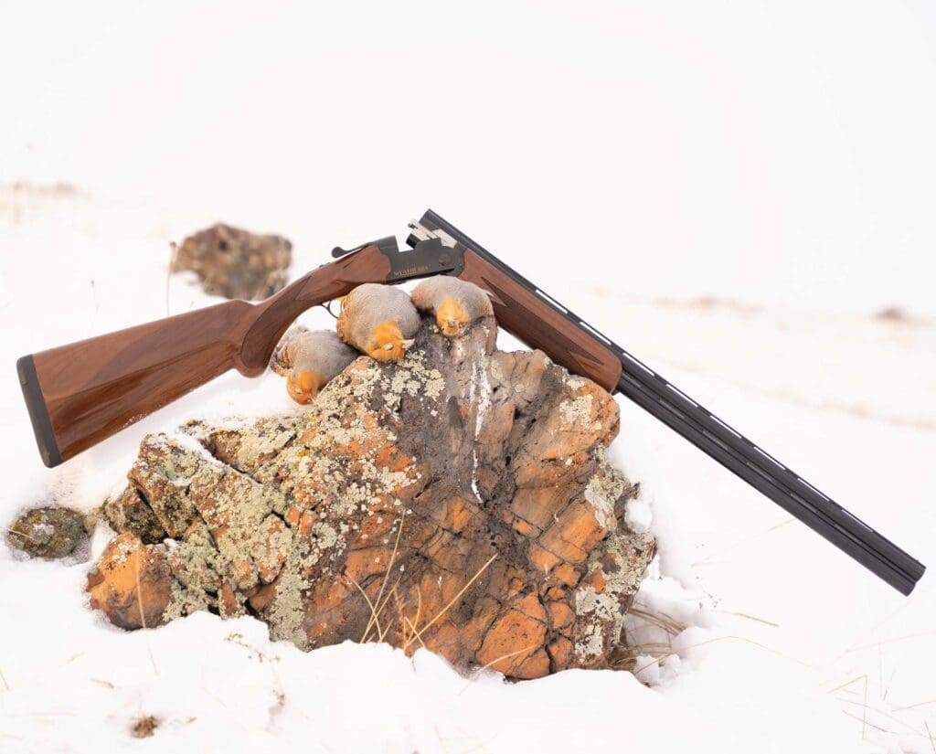 A Weatherby Orion shotgun used hunting wild partridge