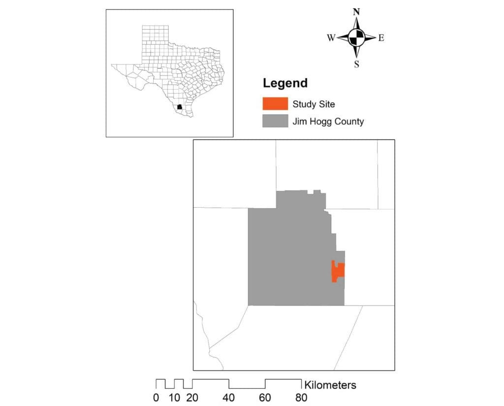 Location and study site in Jim Hogg County, Texas, USA