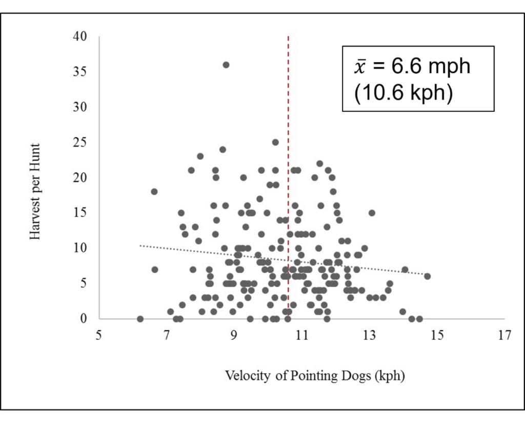 Chart showing Relationship between bobwhite harvest per hunt and mean velocity of pointing dogs (x̅ = 6.6 mph) from 211 quail hunts in Jim Hogg County, Texas, USA.