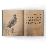 North American Grasslands Act in a magazine