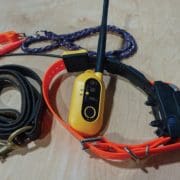 Dogtra Pathfinder 2 GPS Dog Collar