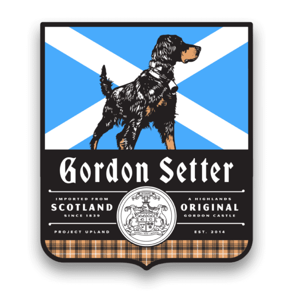 Gordon Setter Sticker