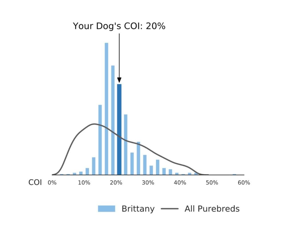A diagram showing the Coefficient of Inbreeding in Dogs