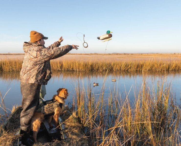 Understanding Natural Duck Decoy Spreads - Project Upland