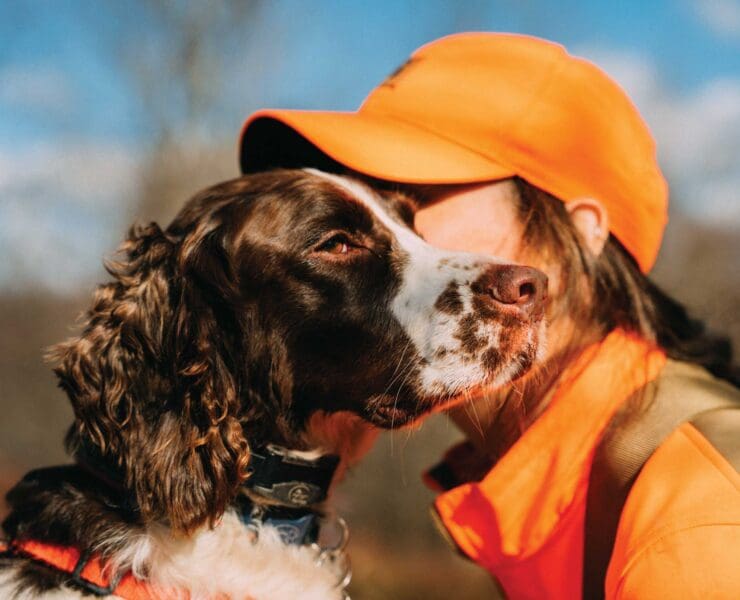 A Springer Spaniel and a woman