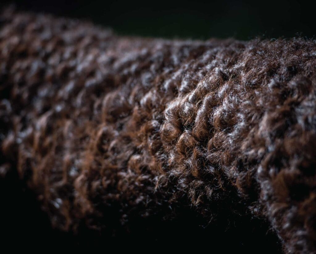 close up of Curly-Coated Retriever fur