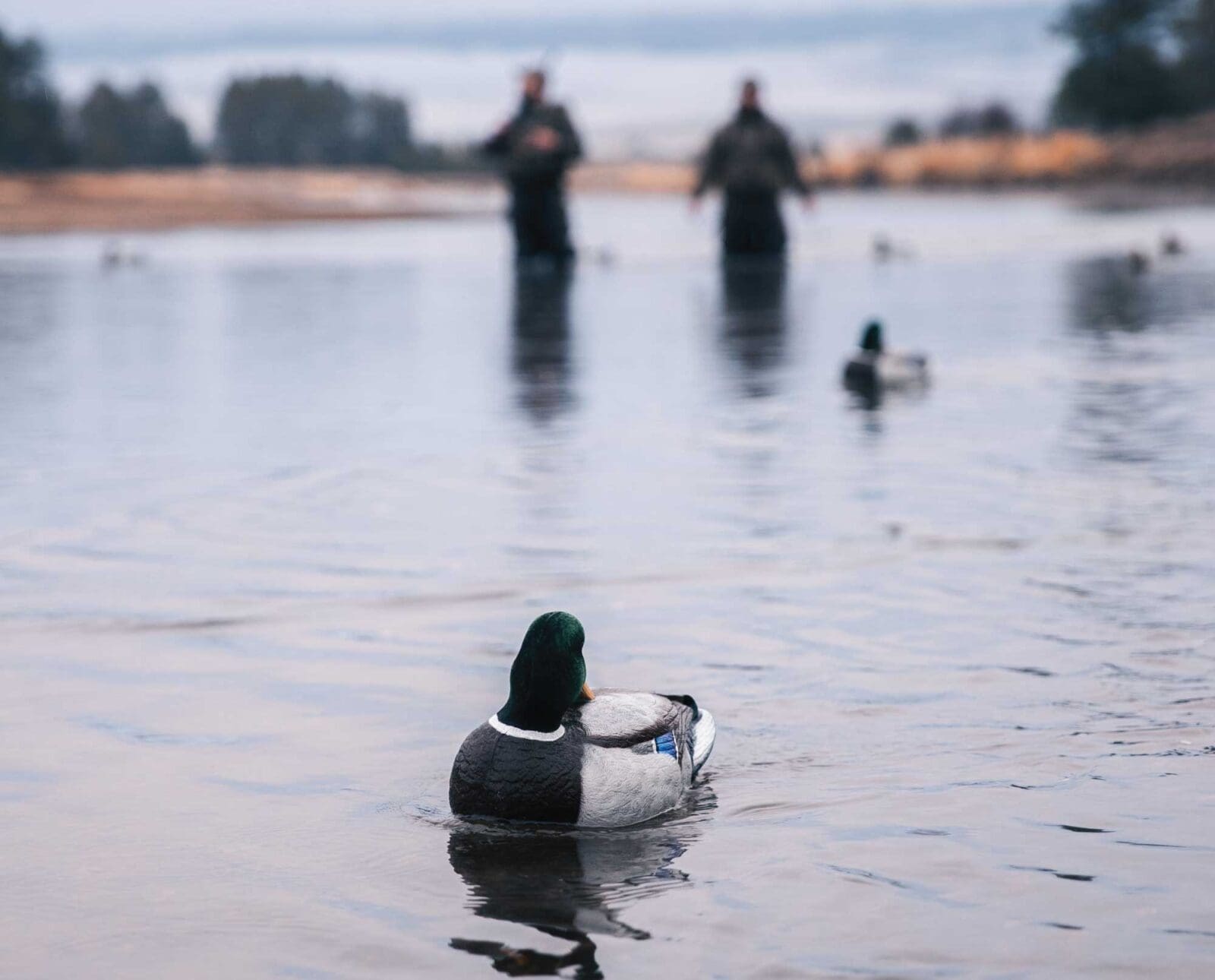 Duck hunters set out a small amount of decoys