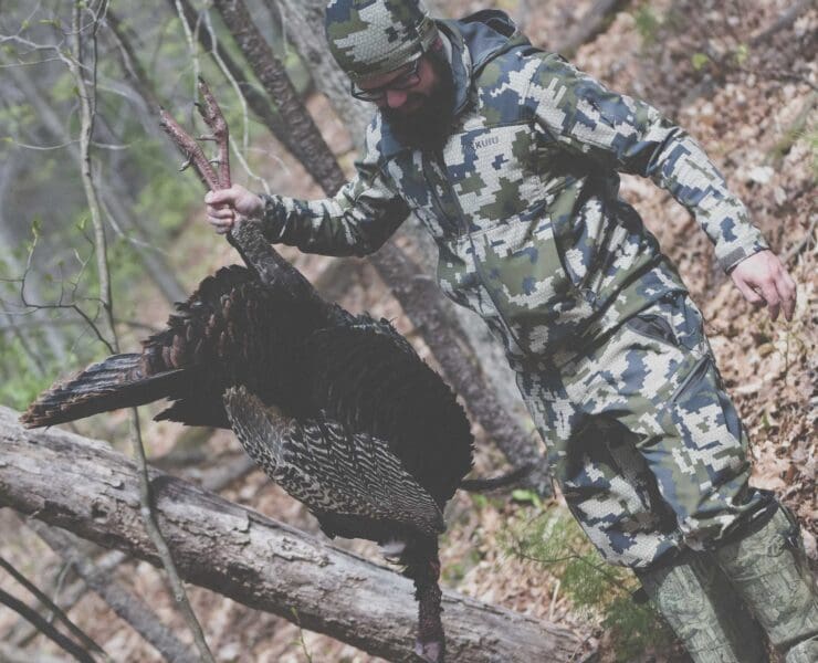 Woodsmanship plays a successful role in shooting a turkey