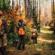 A group of new hunters with a hunting mentor