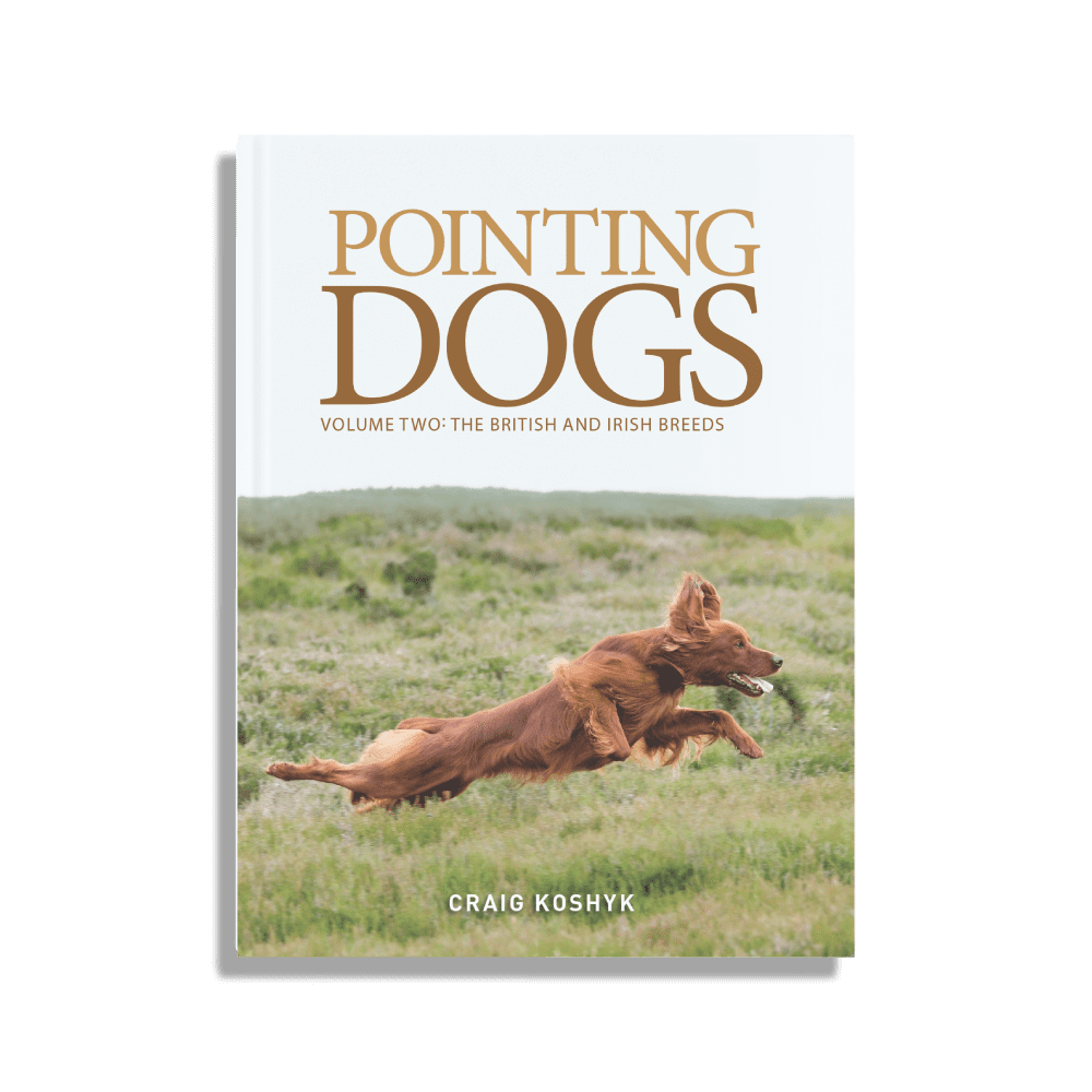 The Cover of Pointing Dogs Volume 2Two: The British and Irish Breeds by Craig Koshyk