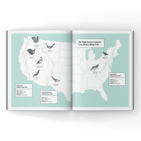 Bird hunting magazine in America