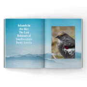 Dusky grouse in a magazine