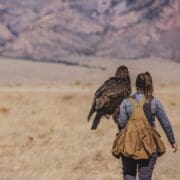 Falconer carries Golden Eagle