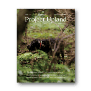 Wirehaired Pointing Griffon on a magazine cover
