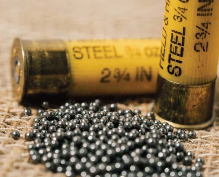 how-effective-is-steel-shot-comparing-lead-to-steel