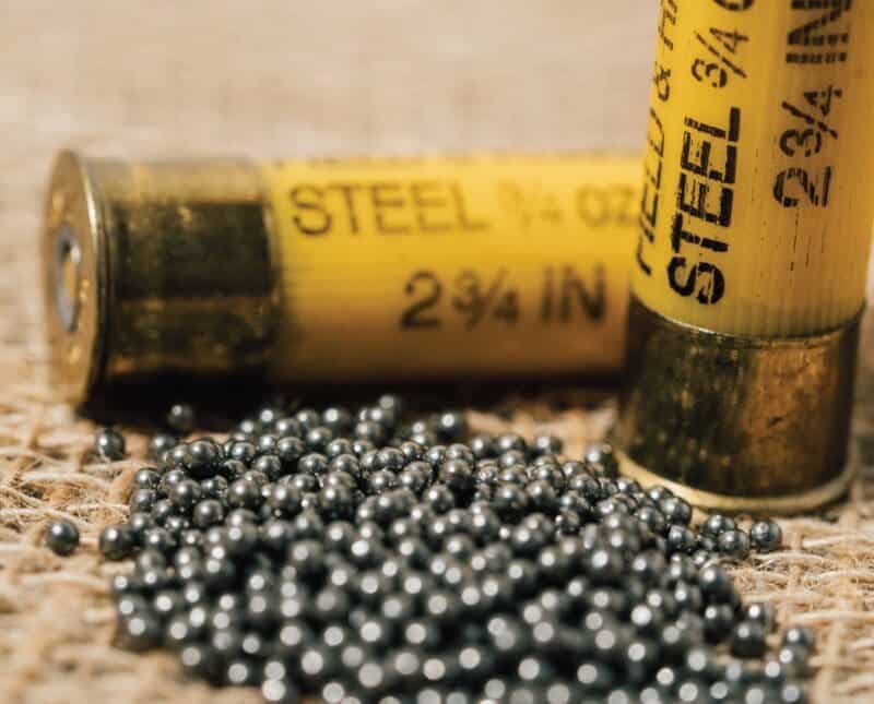 How Effective is Steel Shot? Comparing Lead to Steel