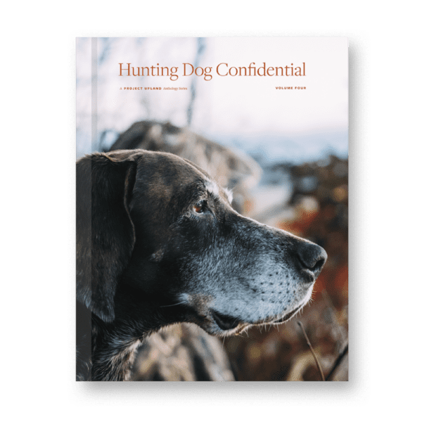 Hunting Dog Confidential Volume Four Hardcover