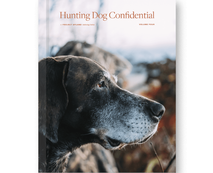 Hunting Dog Confidential Volume Four Hardcover