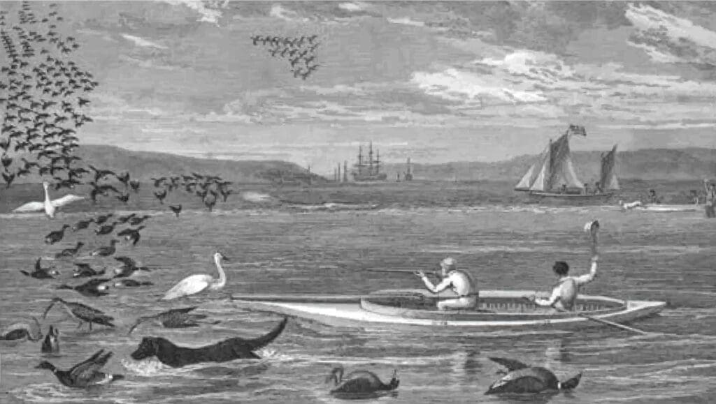 Early drawing of hunting with a St. John’s Water Dog