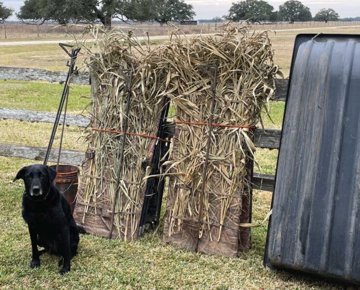 How to Hunt Snipe with Decoys - Project Upland