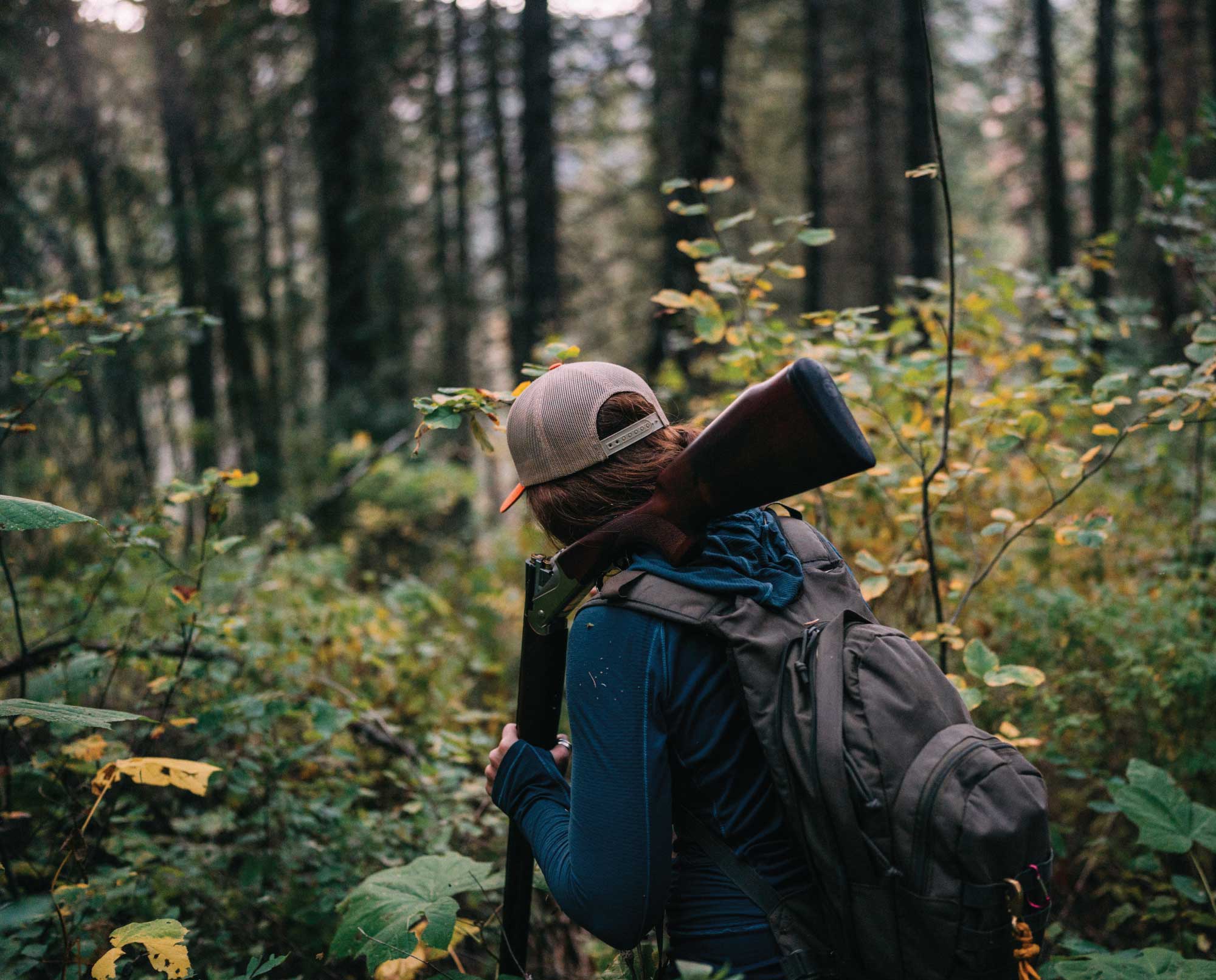 Walking-through-grouse-cover - Project Upland