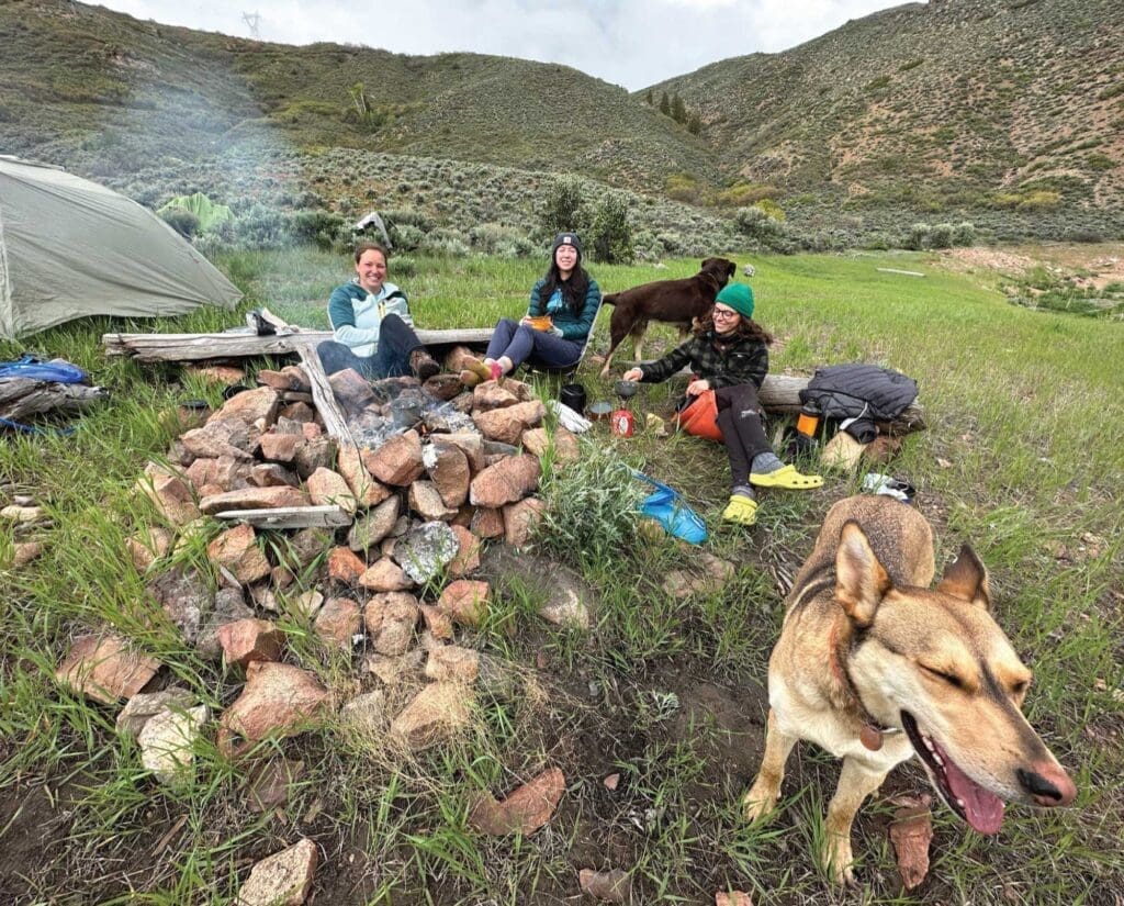 A campfire and tents with a group of dogs on a camping trip 