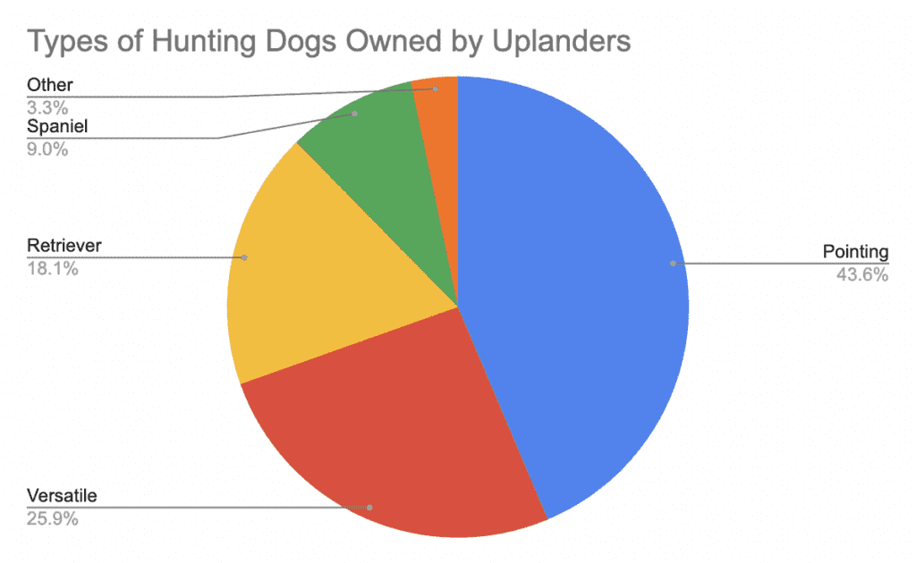 pie chart on most popular bird dog breed types
