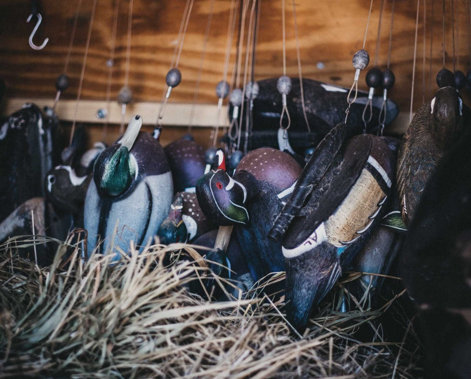 various duck decoys before the hunt