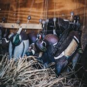 various duck decoys before the hunt