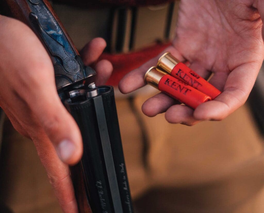 shotgun hunting ammunition during an upland hunt