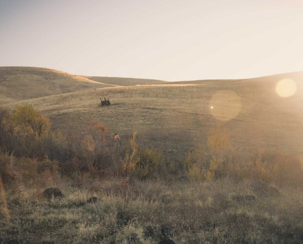 A bird hunter walks the Idaho landscape with a hunting dog