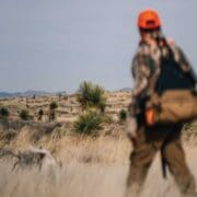 A bird hunter with his pointing dog hunting quail in the New Mexico desert