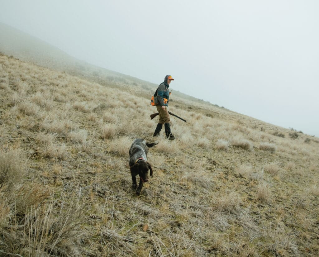 A woman hunts huns in Oregon with her bird dog.